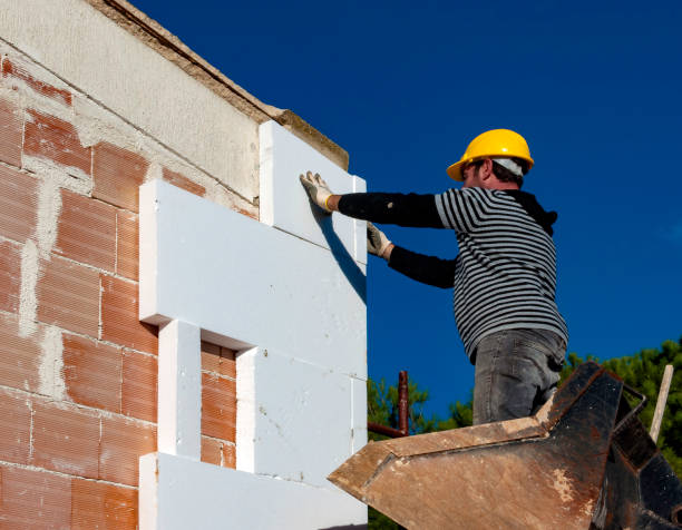 Best Insulation Installation Services in Belmont, MS
